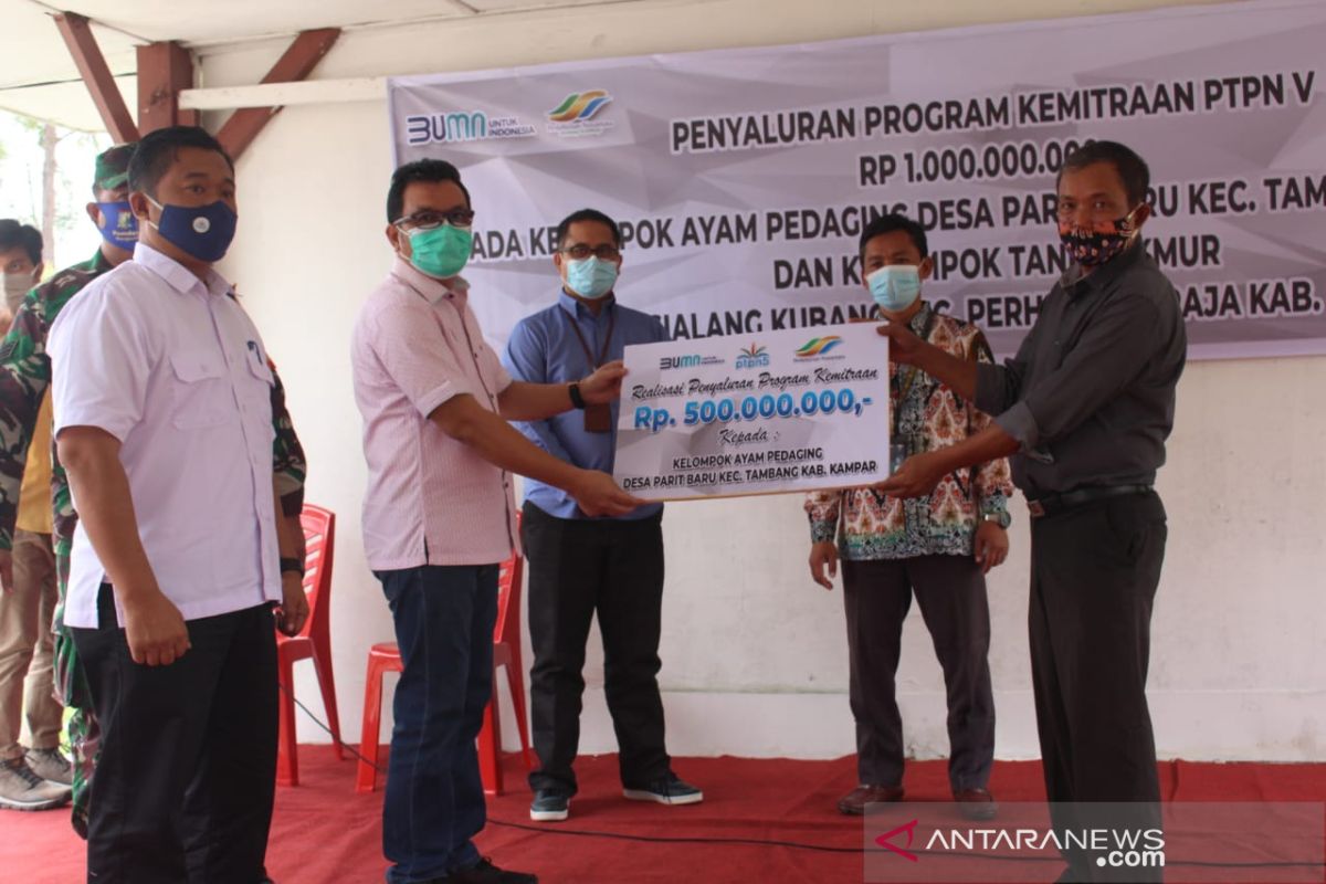 PTPN V bantu desa lumbung ayam pedaging