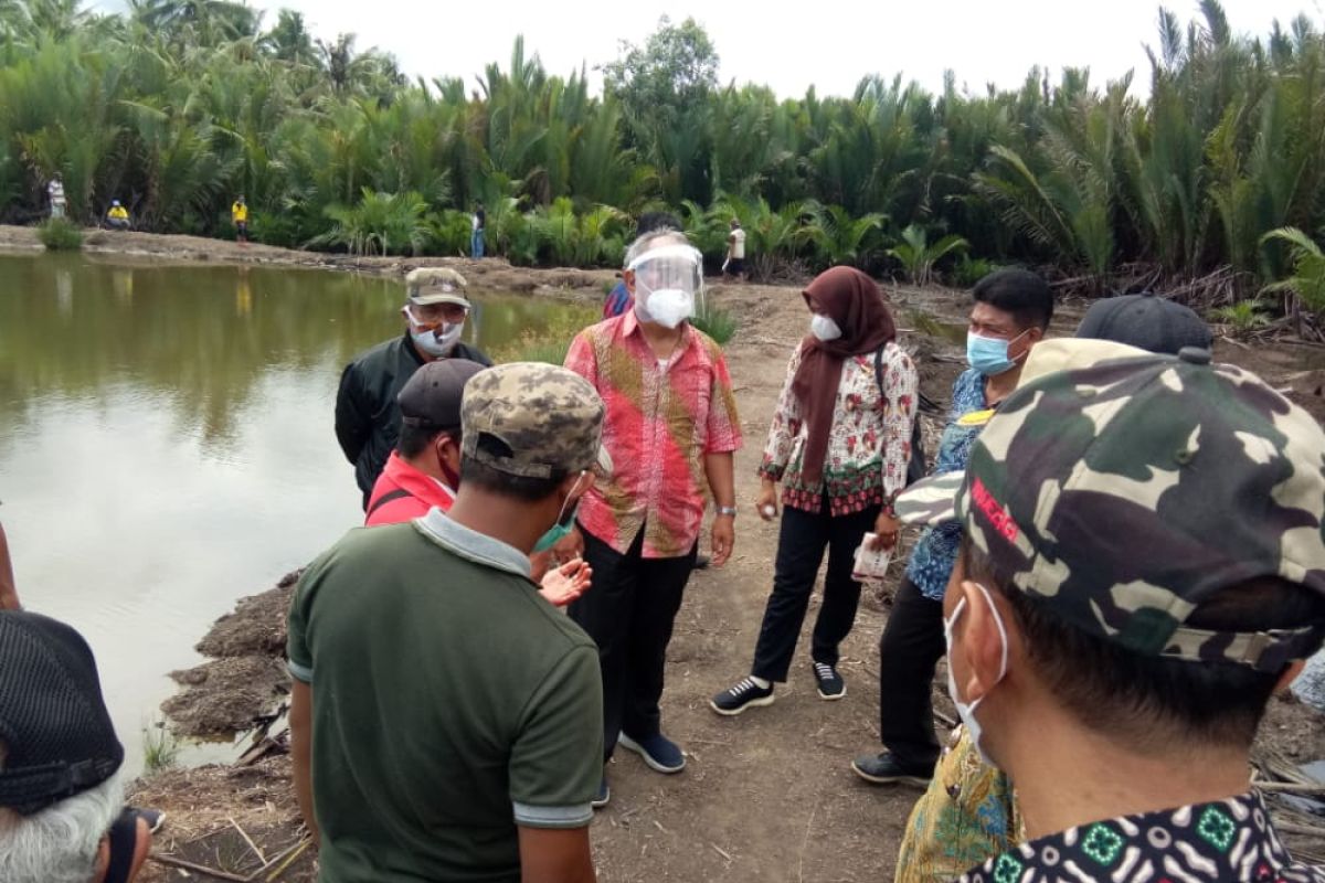 Pemkab Buol  dorong petani gunakan metode mina padi olah lahan