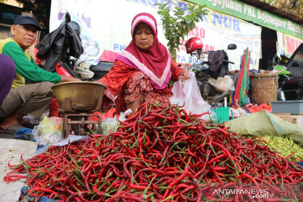 Harga cabai rawit di Baturaja  OKU tembus Rp100.000/Kg