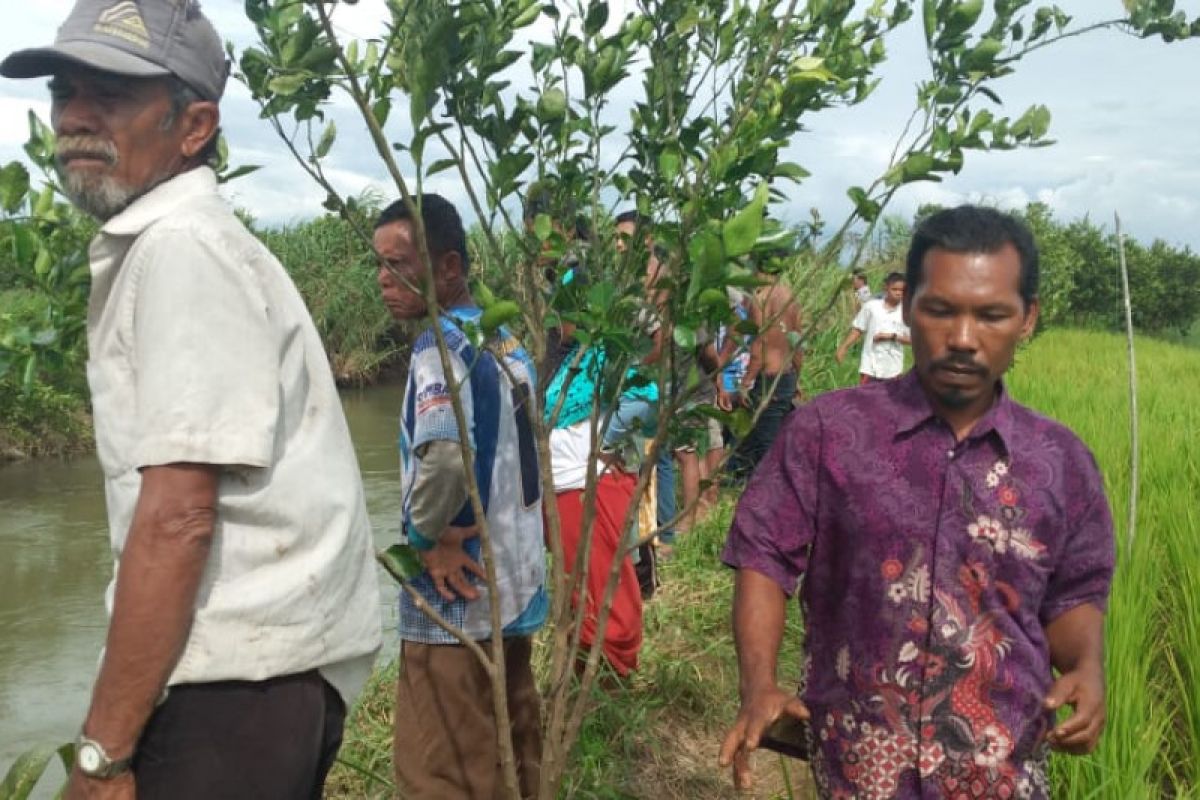 Seorang warga Ujung Gading Pasaman Barat Sumbar diduga hilang diterkam buaya