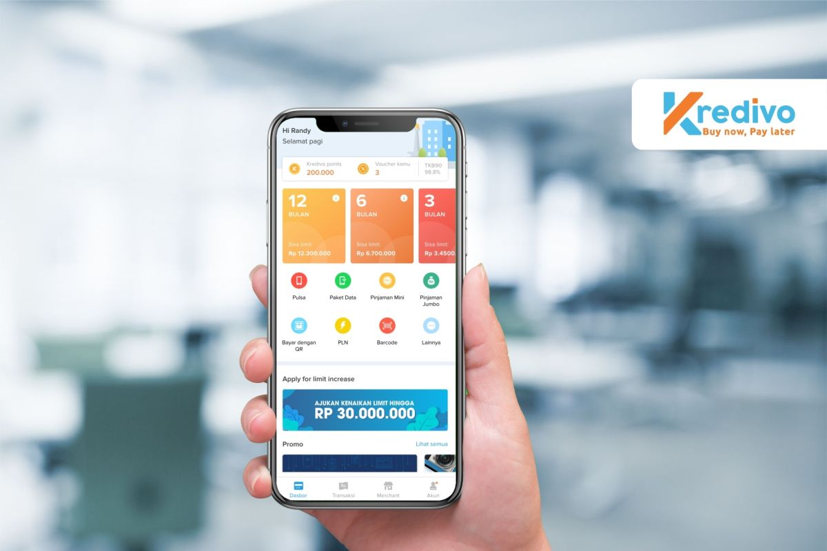 Penggunaan 'paylater' diprediksi meningkat tahun ini