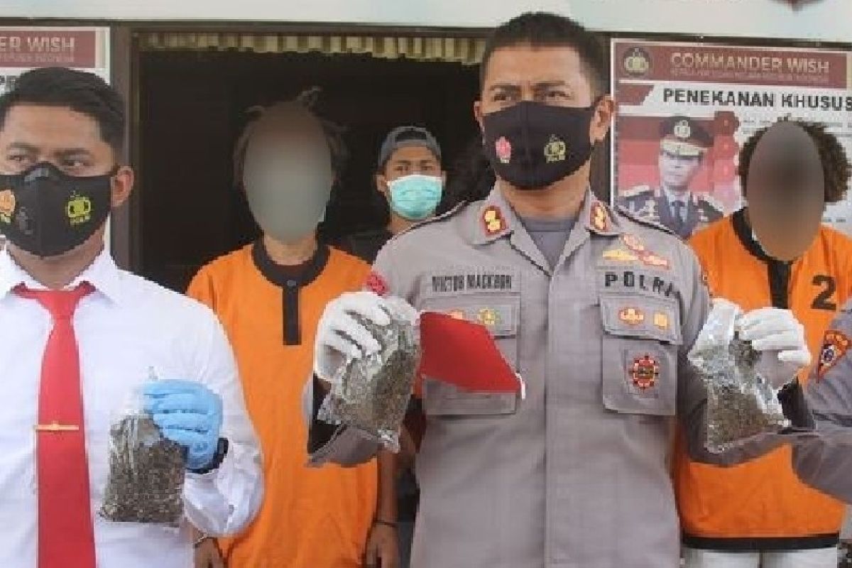 Polres Jayapura tangkap empat pengedar narkoba pemilik 1,6 kg ganja