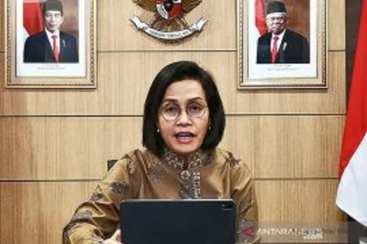 Menkeu Sri Mulyani ungkap realisasi dana Otsus Papua dan Papua Barat banyak sisa