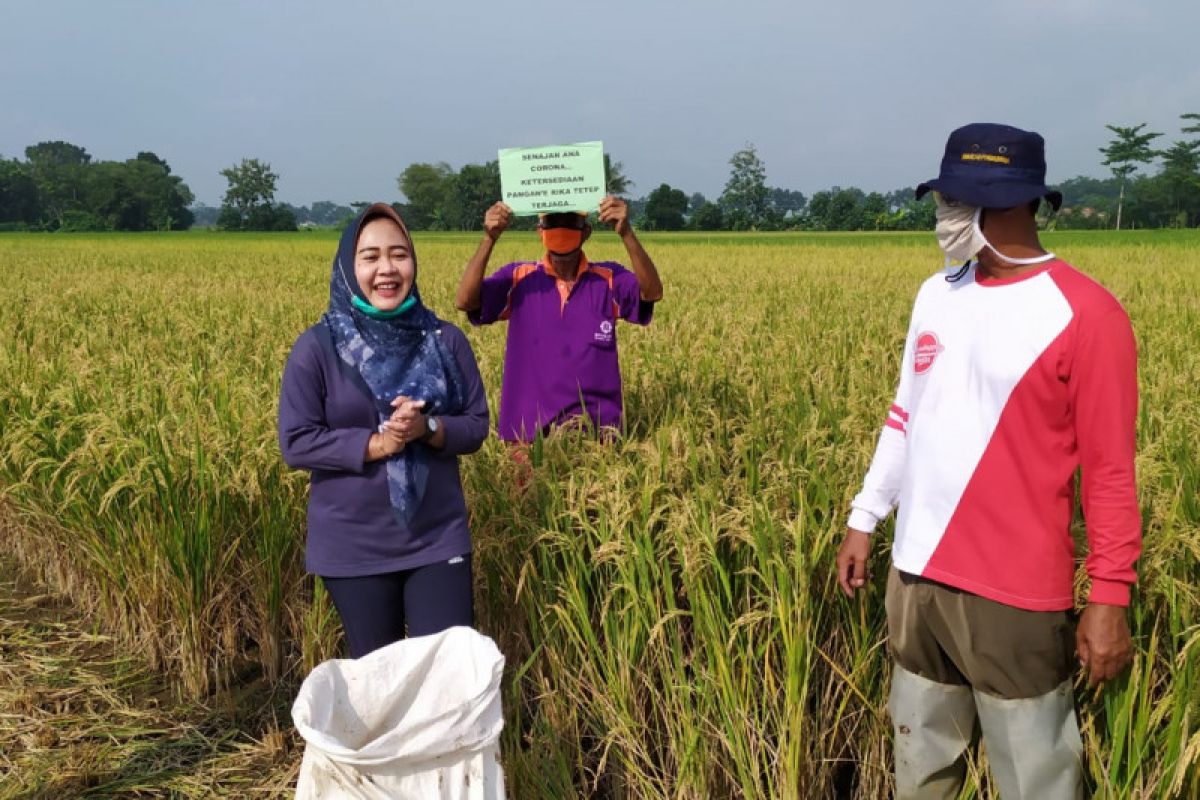 Purbalingga dorong petani muda kembangkan sektor pertanian