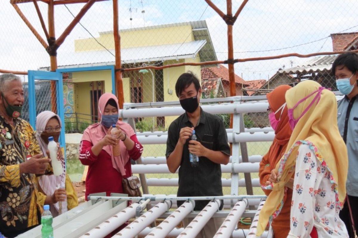 Jaga ketahanan pangan, masyarakat Pekalongan dilatih budi daya hidroponik