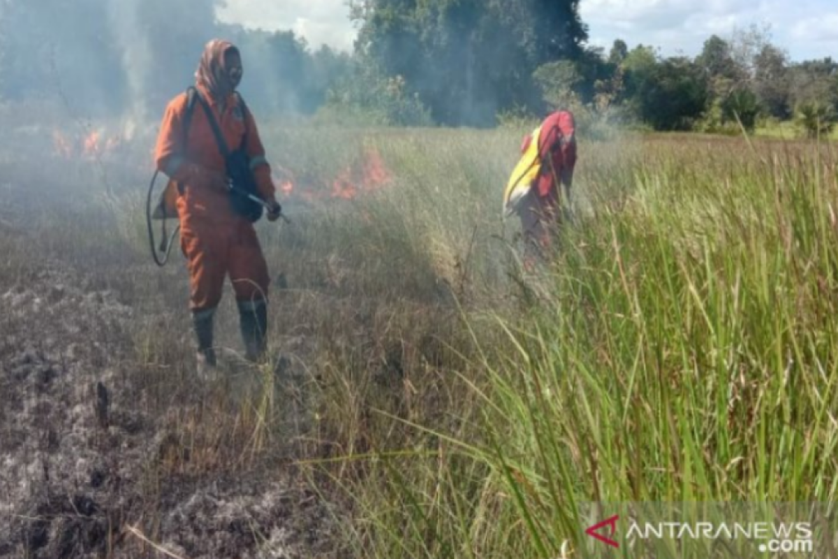 Terbakar, 4,5 hektare savana Taman Nasional Rawa Aopa Watumohai