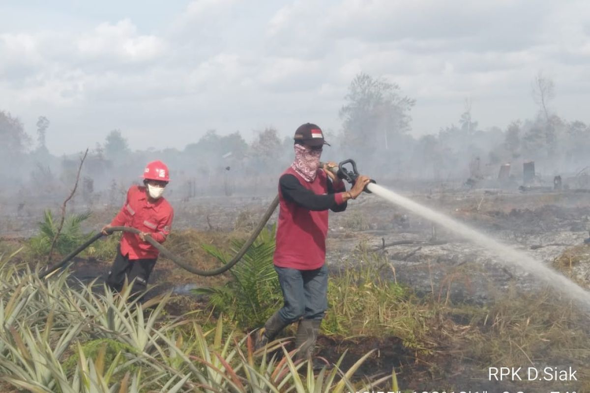 Ada kebakaran hutan di dekat  konsesi Sinarmas