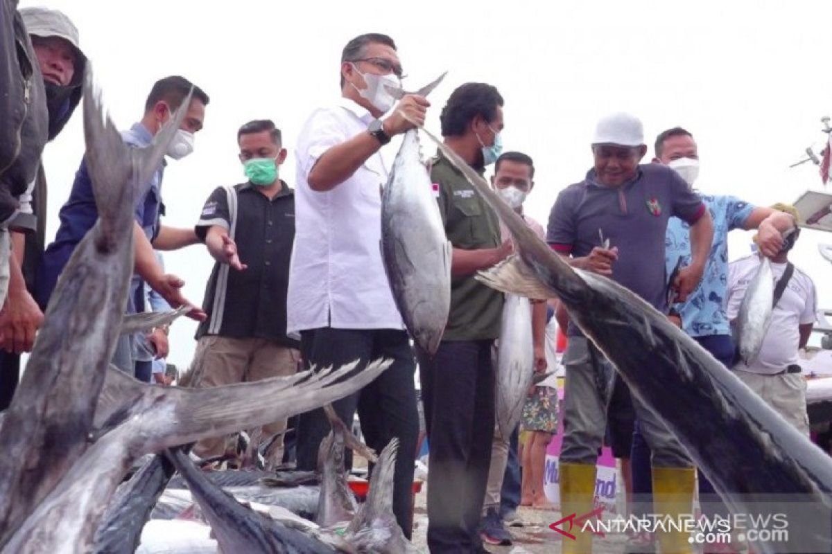 Kendari bentuk perusda khusus garap sektor perikanan