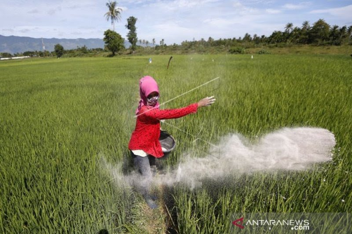 Pertumbuhan kredit UMKM sektor pertanian positif saat COVID