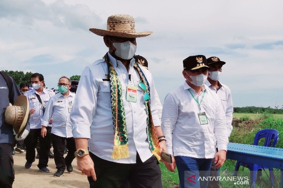 2.875 ha sudah terpanen, Mentan sebut Food Estate Kalteng berjalan baik