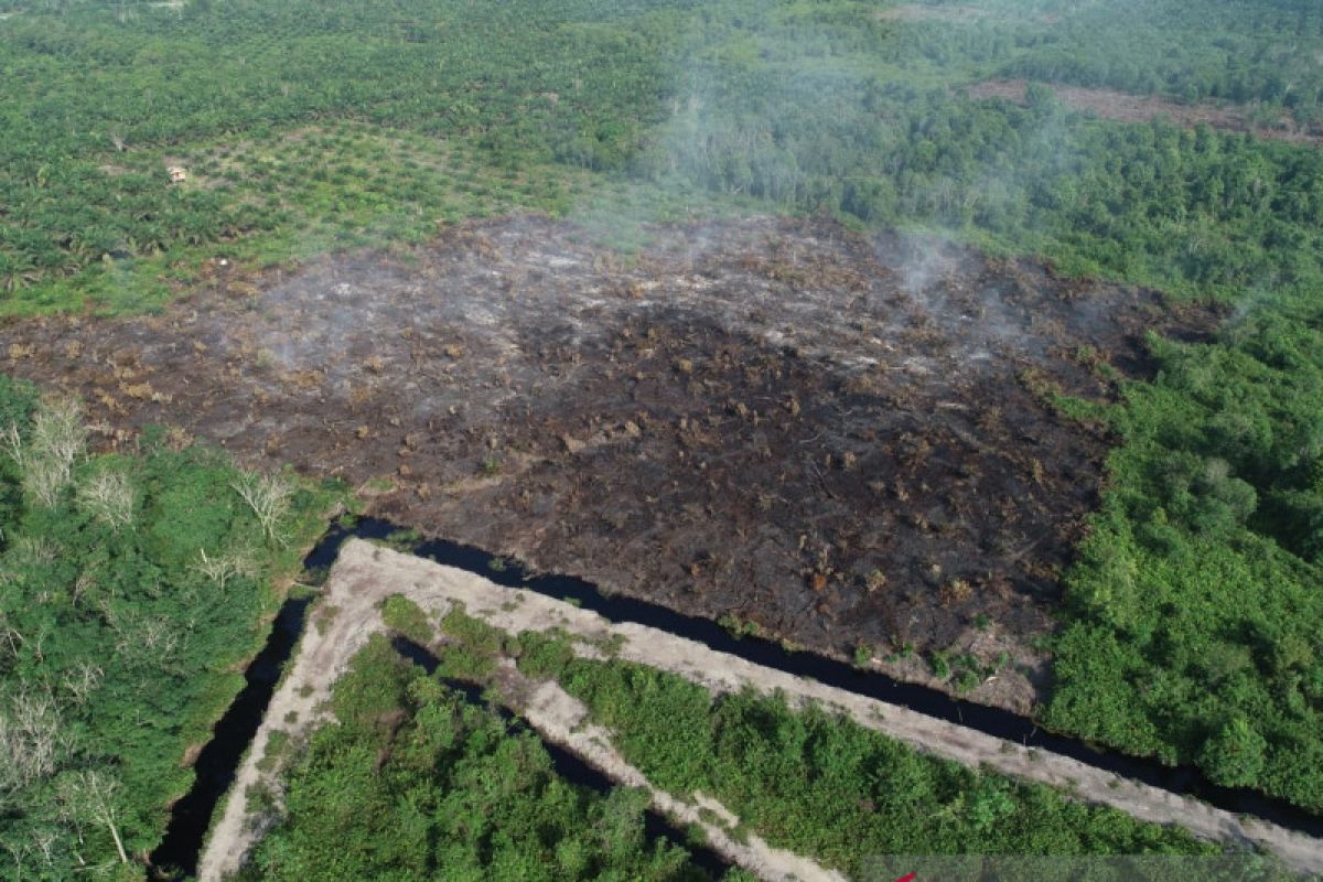 Tekan karhutla, Siak berikan insentif Rp115 miliar untuk desa