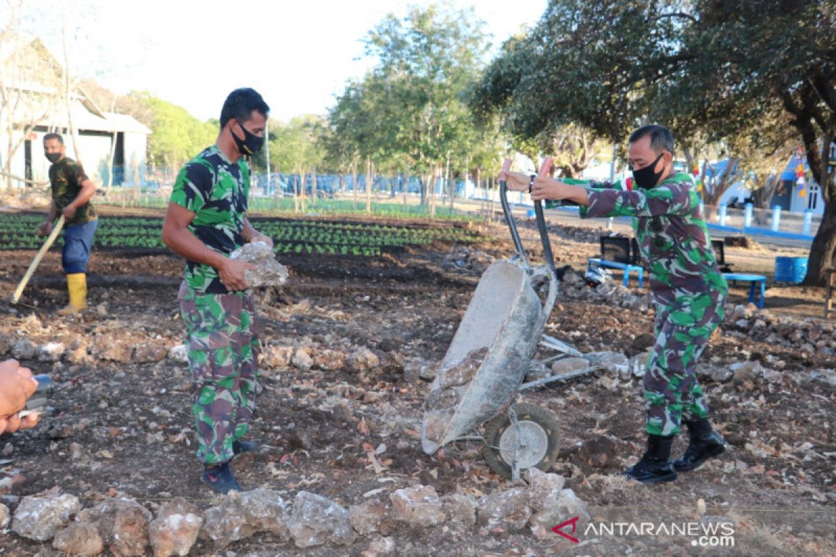 Artikel - Ketika TNI AU menyulap tanah berkarang menjadi kebun sayur