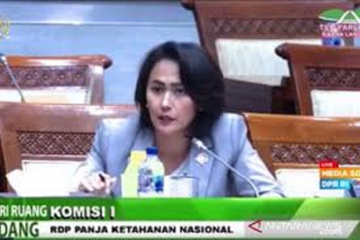 Anggota DPR apresiasi arahan Presiden Joko Widodo agar berhati-hati terapkan UU ITE