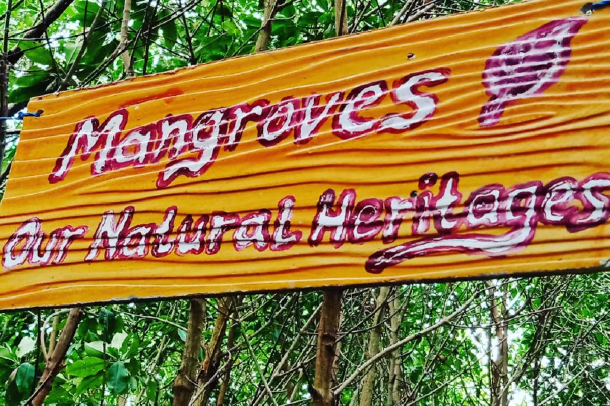 Wisata Mangrove Luppung Manyampa Bulukumba siap jadi percontohan nasional