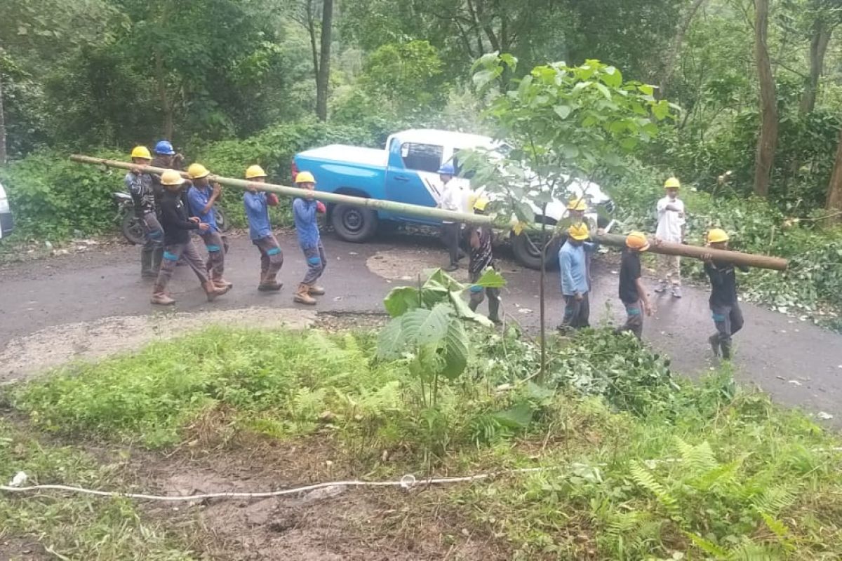 PLN UP3 Sumbawa berjibaku perbaiki puluhan tiang roboh akibat cuaca ekstrem