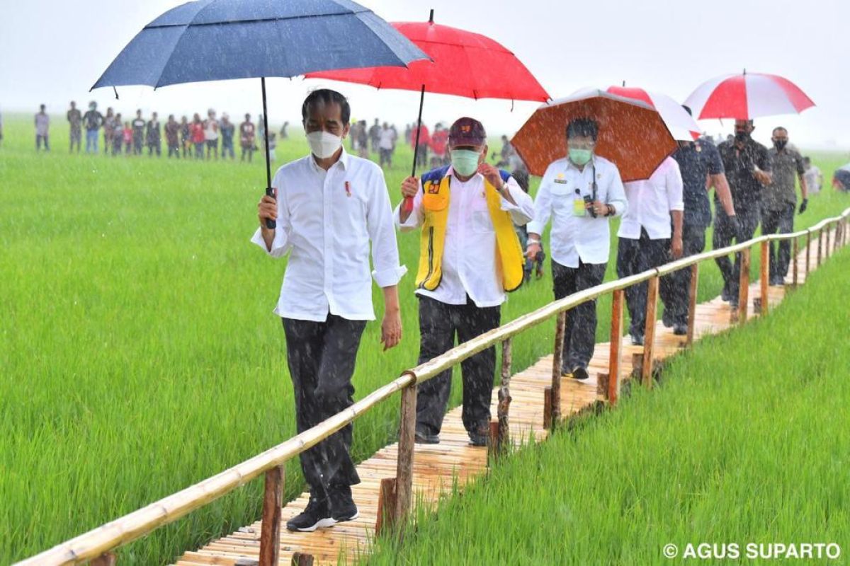 Presiden  ingin ada tambahan waduk dan embung di NTT