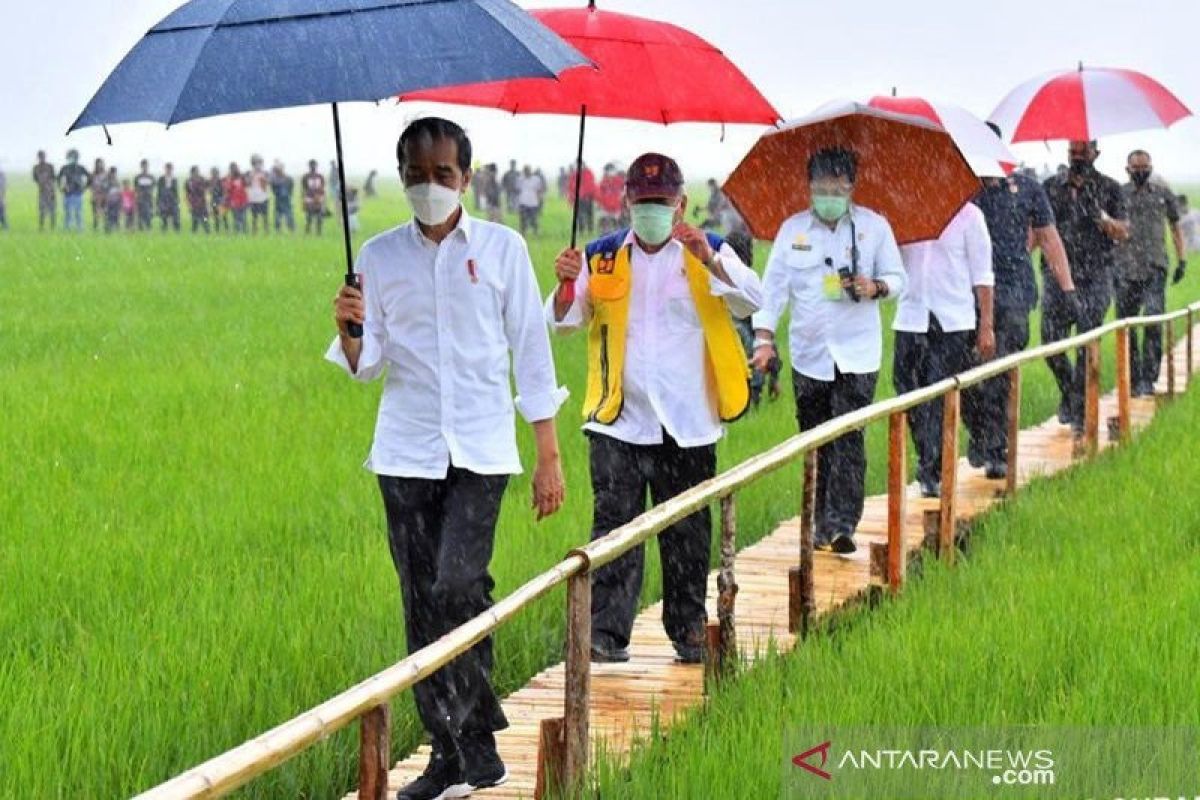 Presiden Joko Widodo ingin ada tambahan jumlah waduk dan embung di NTT