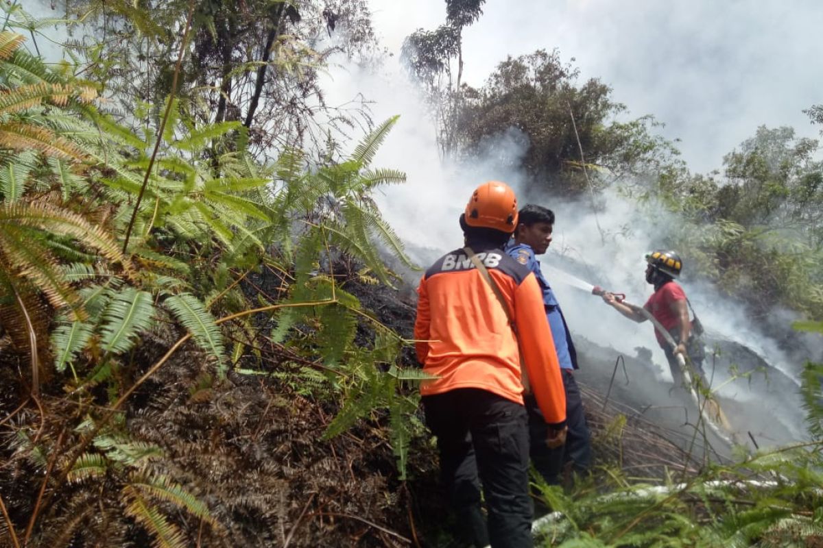 Hutan di Harau yang terbakar dan telah dipadamkan kembal menyala