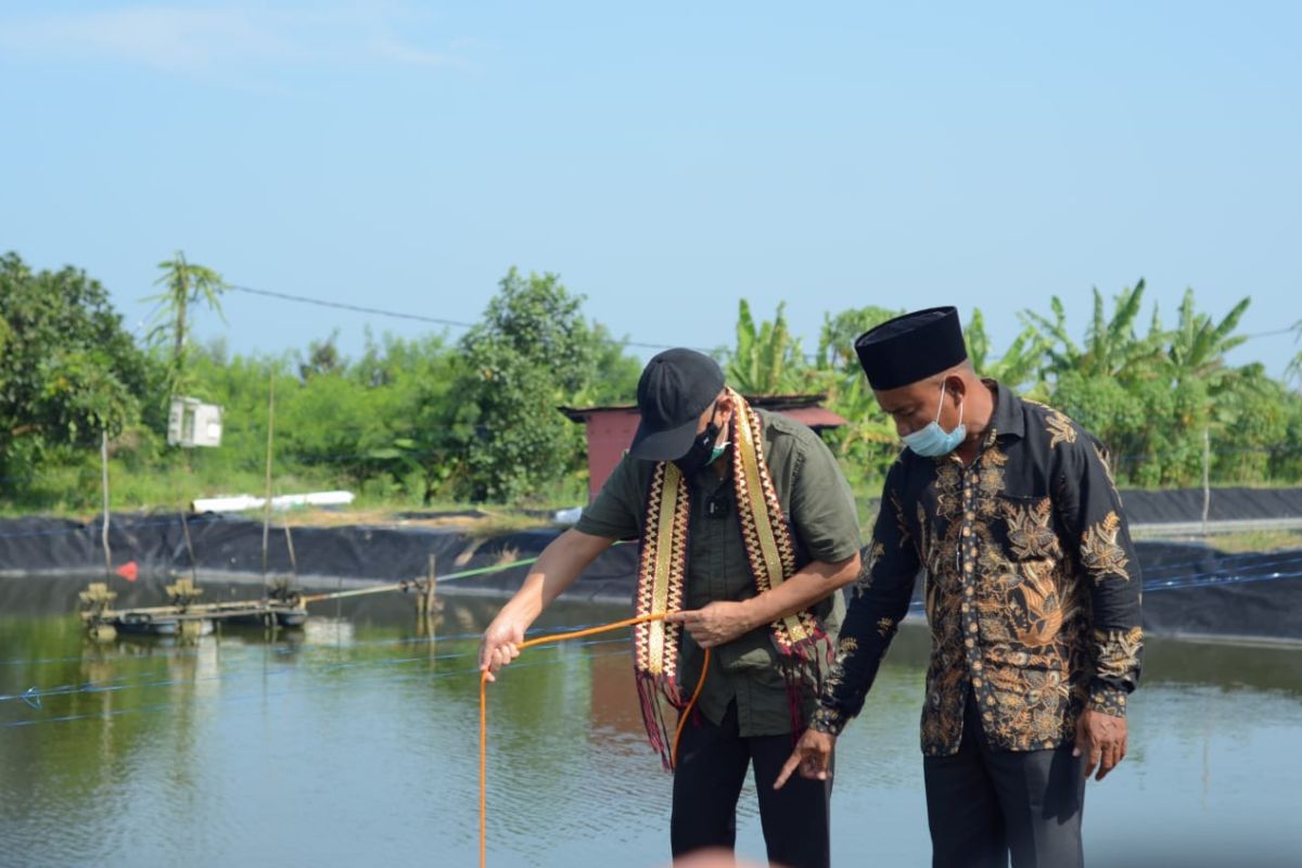 Menkop minta Dipasena kembalikan kejayaan bantu pemulihan ekonomi