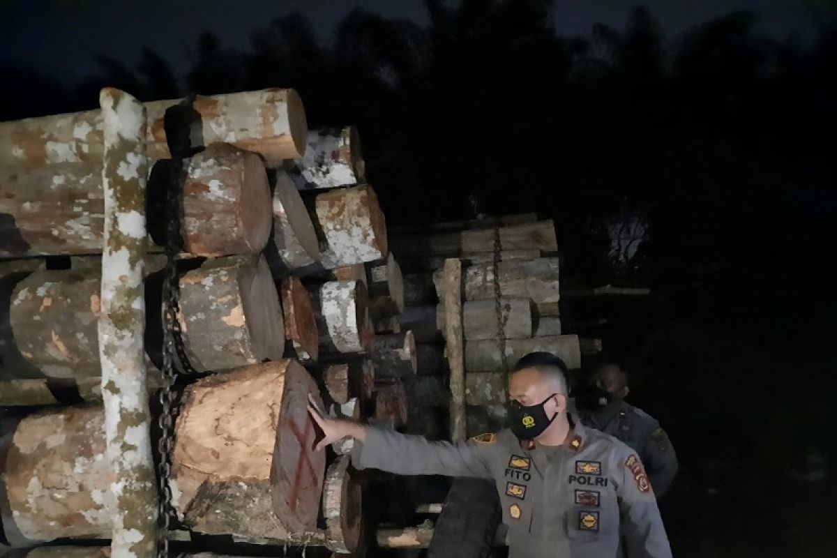 Tiga pemodal pembalakan liar Taman Nasional Berbak ditangkap polisi