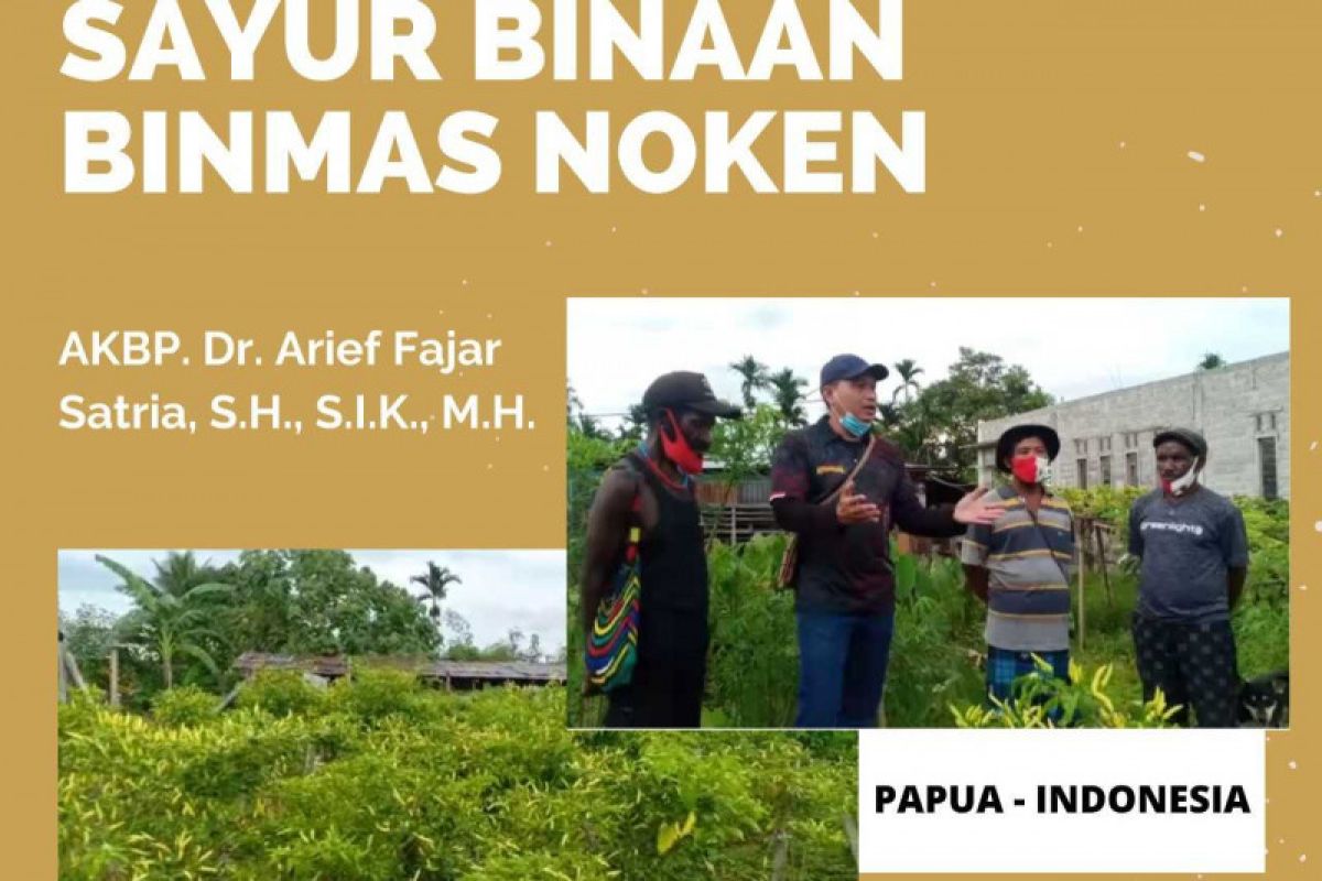 Personel Binmas Noken Polri berhasil tingkatkan kesejahteraan petani Papua