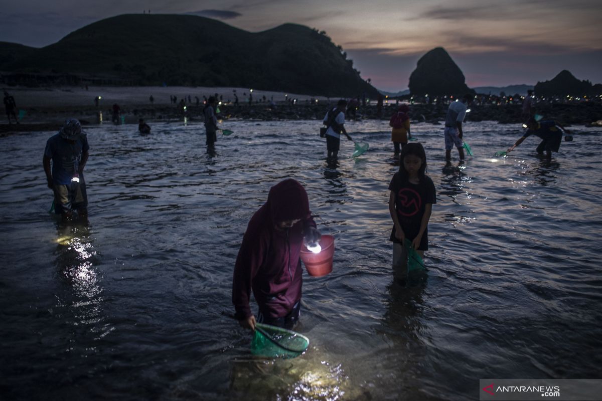 Sangkep Warige Bau Nyale digelar di Desa Wisata Ende Lombok Tengah