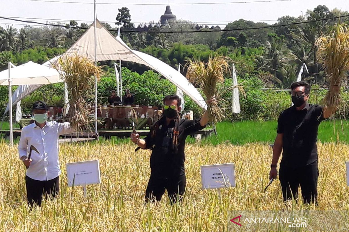 Mentan:  Svarga Bumi Borobudur bisa dikembangkan di daerah lain