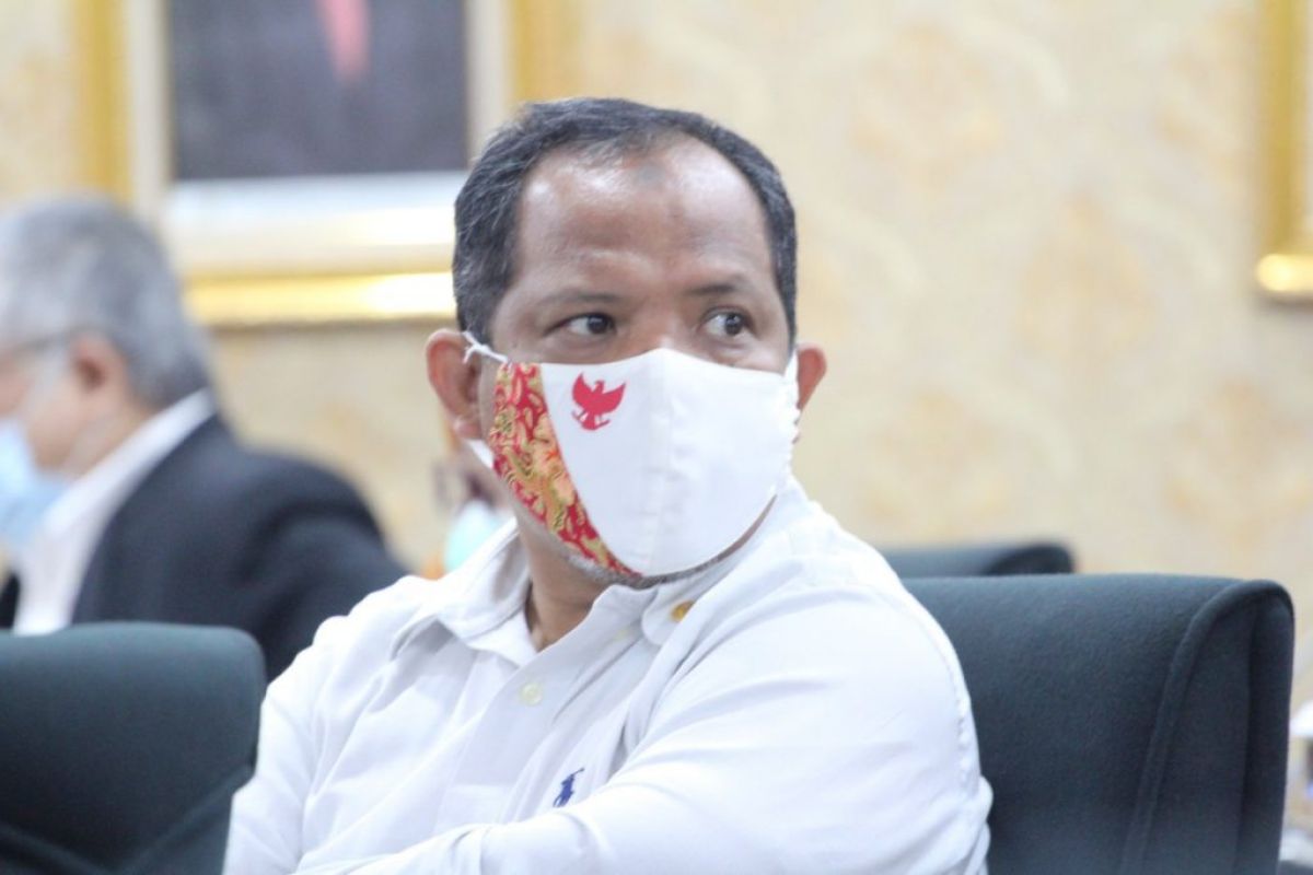 Anggota DPR ingatkan jangan impor beras saat stok cukup