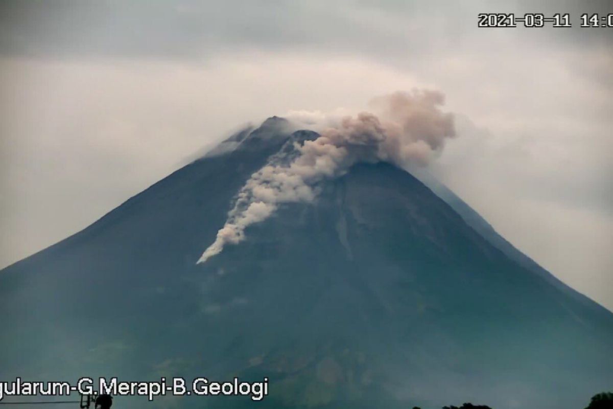 Mt. Merapi belches ash 1.2 km into the sky