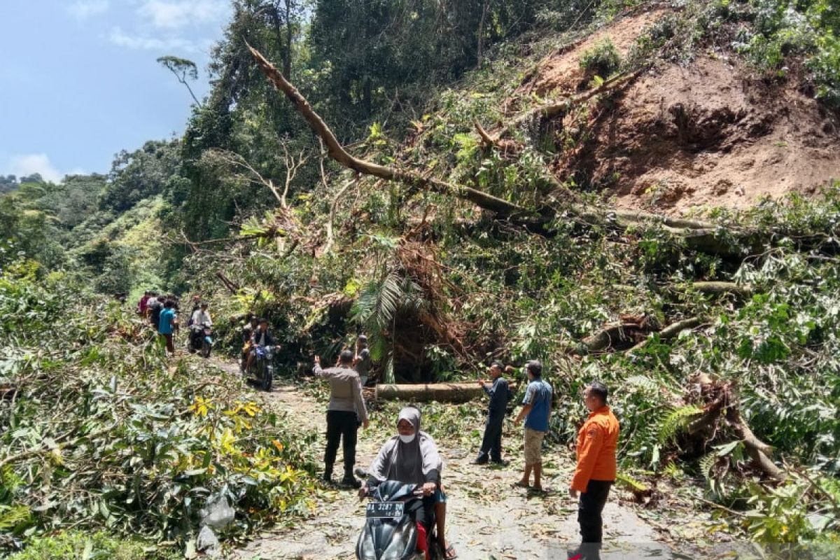 Jalan Pasaman-Pasaman Barat telah bisa dilewati kendaraan