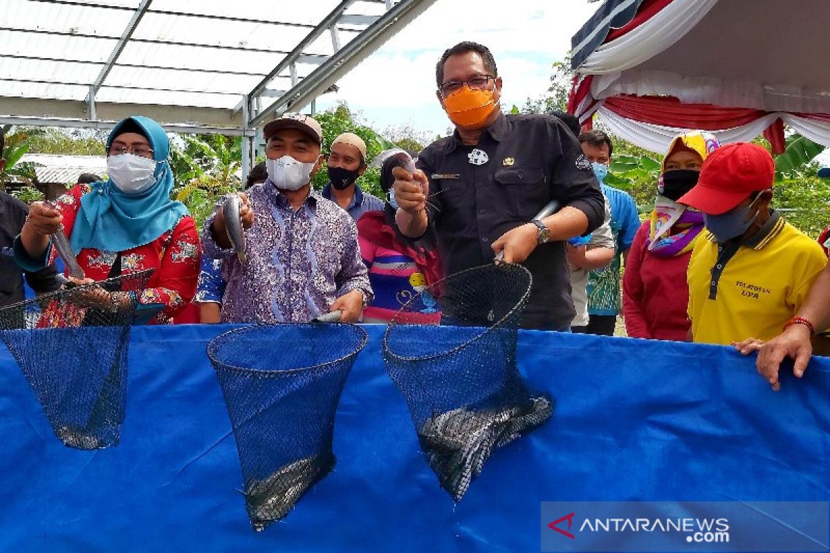 Dirjen Perikanan Budidaya dorong optimalisasi pengembangan sistem bioflok di Kalteng