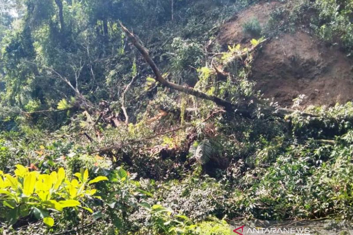 Jalan Pasaman-Pasaman Barat putus total