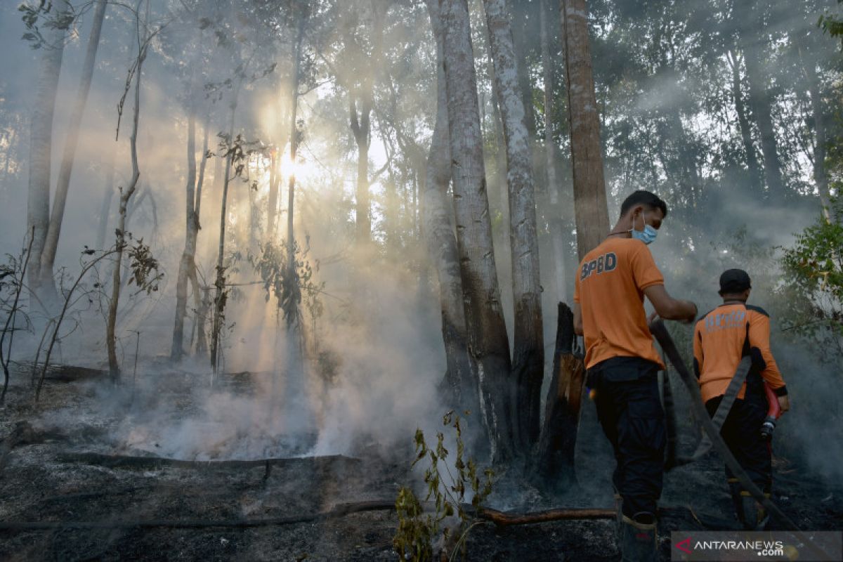 Satgas berupaya padamkan karhutla di Bengkalis dan Pelalawan