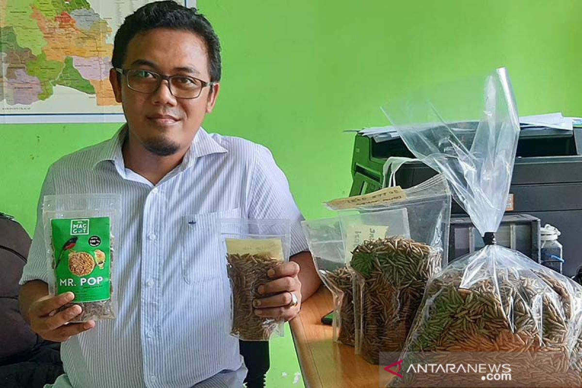 Arky Gilang, sarjana geodesi, sukses tekuni bisnis larva lalat