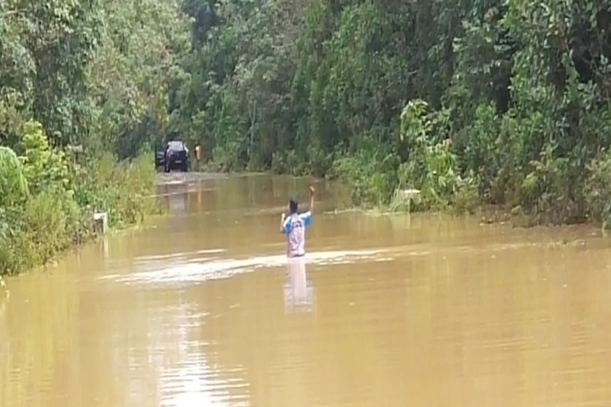 Puluhan hektare kebun karet di Mesuji terendam banjir