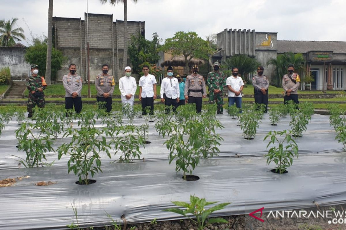 Jaga ketahanan pangan, Desa Jurang Jaler siap dukung lomba Kampung Sehat 2