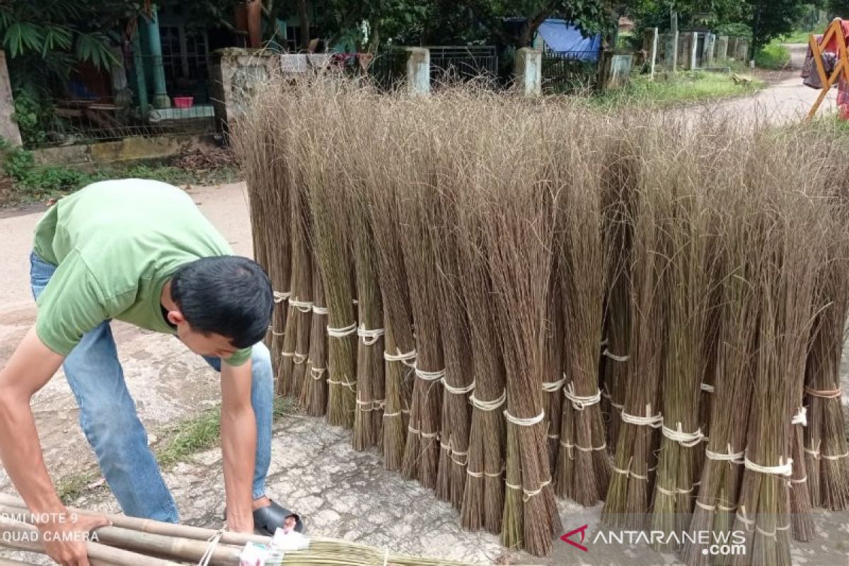 Wow, pelepah dan lidi sawit jadi potensi bisnis baru di Riau