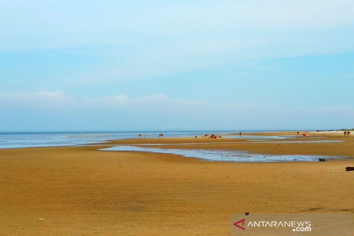 Legislator dorong pengembangan Pantai Satiruk perkuat pariwisata Kotim