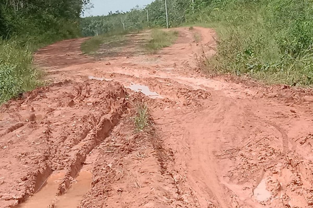 Kondisi Jalan PUPR Utama Mesuji makin rusak