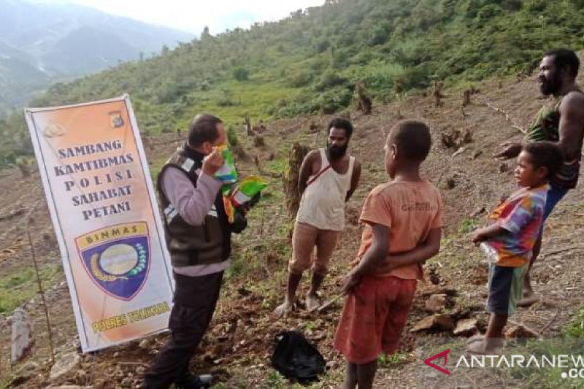 Polisi Tolikara bantu bibit sayuran untuk petani Numbugawe