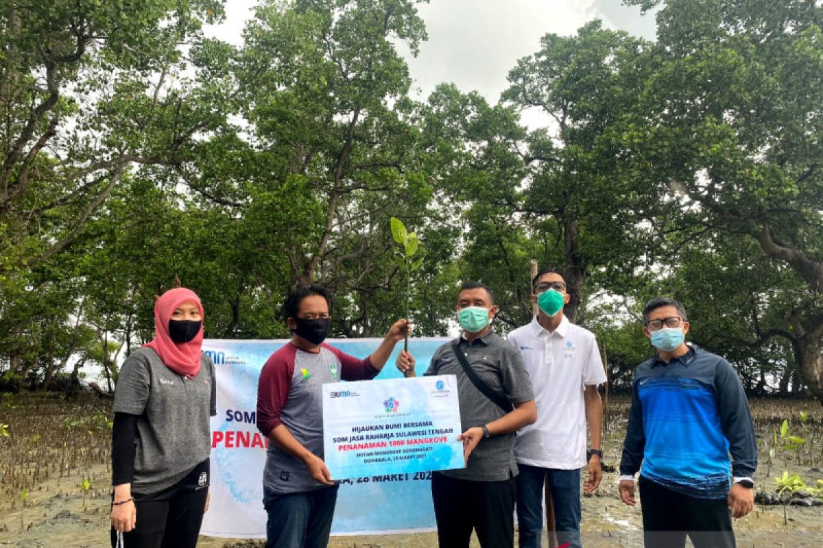 Jasa Raharja Sulteng gandeng KTH  tanam 1000 mangrove di Donggala