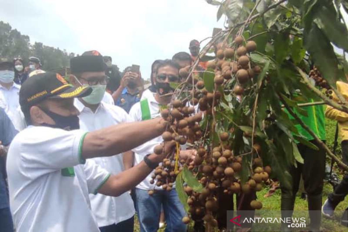 Bejen Fruit Garden wisata petik buah di Temanggung