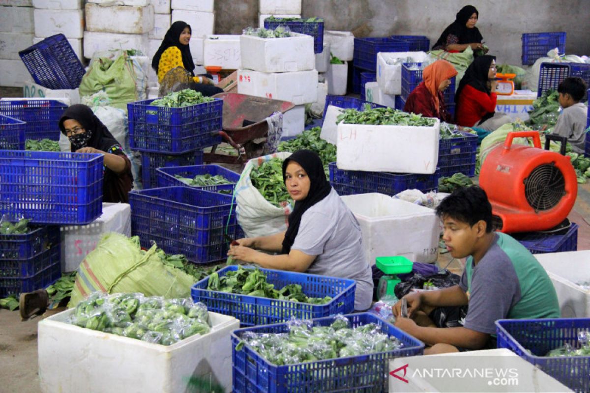 Dumai "gempur" Malaysia dengan 1.740 kg petai