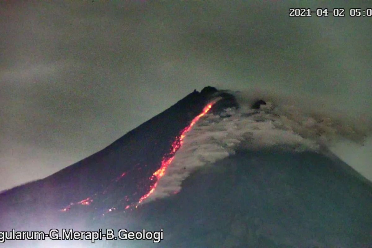 Gunung Merapi meluncurkan tiga kali awan panas guguran sejauh 1.500 meter