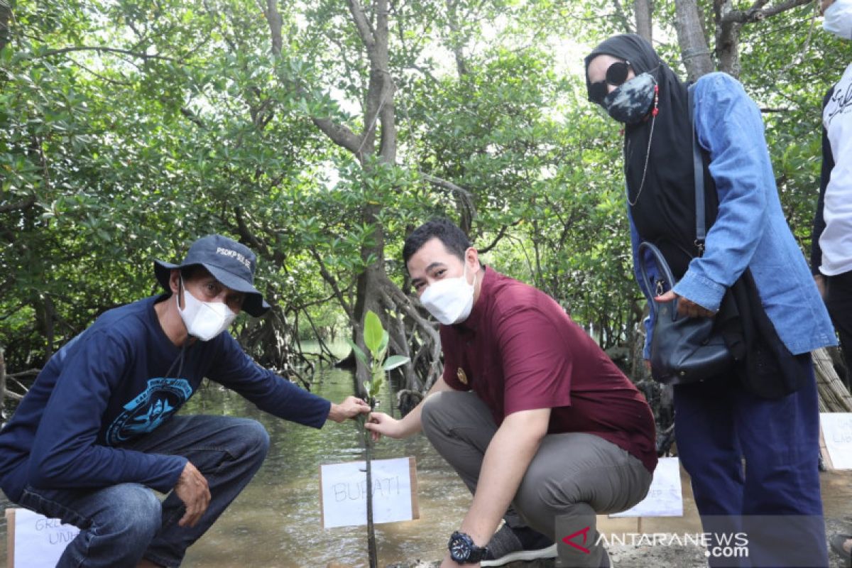 Pemkab Pangkep gandeng DKP dan Mapala Perikanan tanam 40.000 bibit mangrove