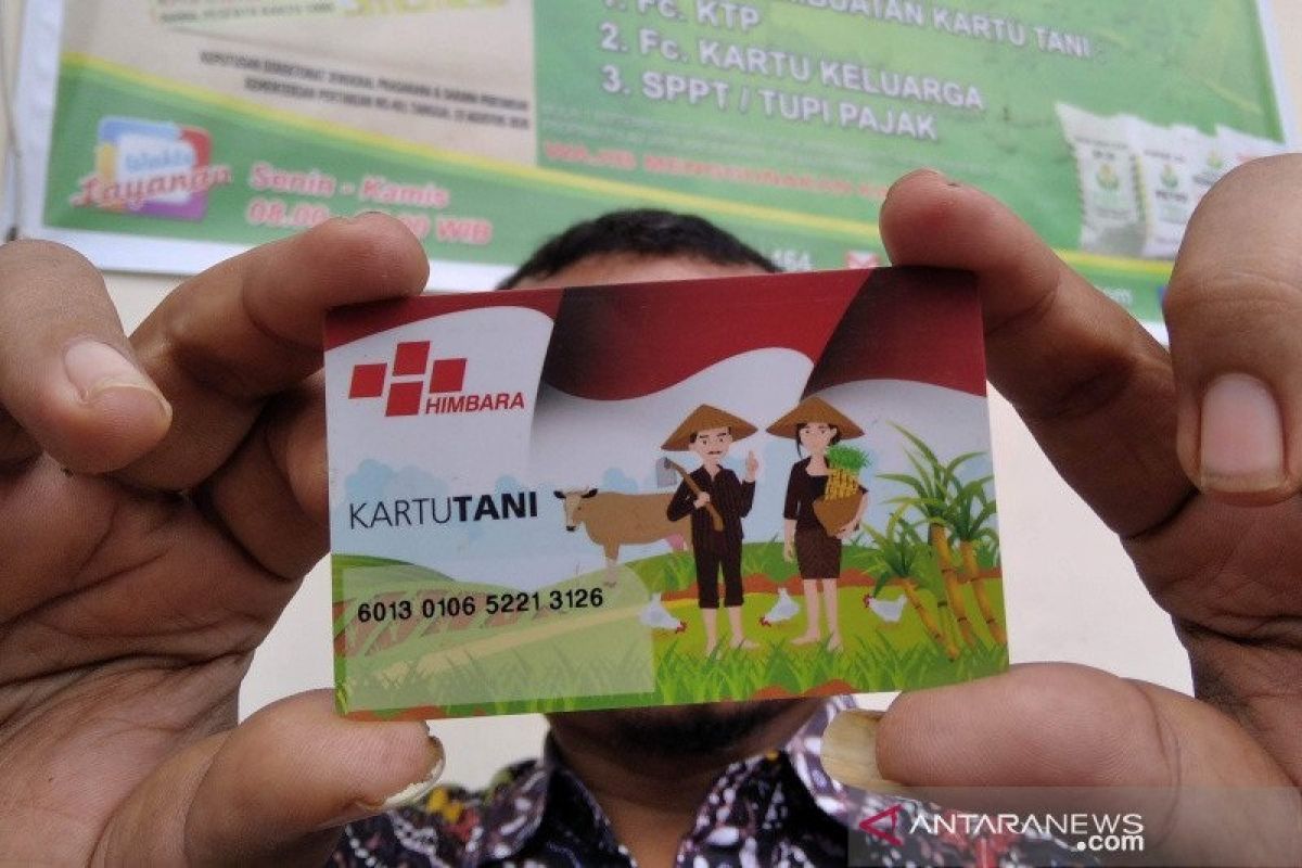 Baru 5,03 persen petani yang gunakan Kartu Tani untuk dapat pupuk subsidi