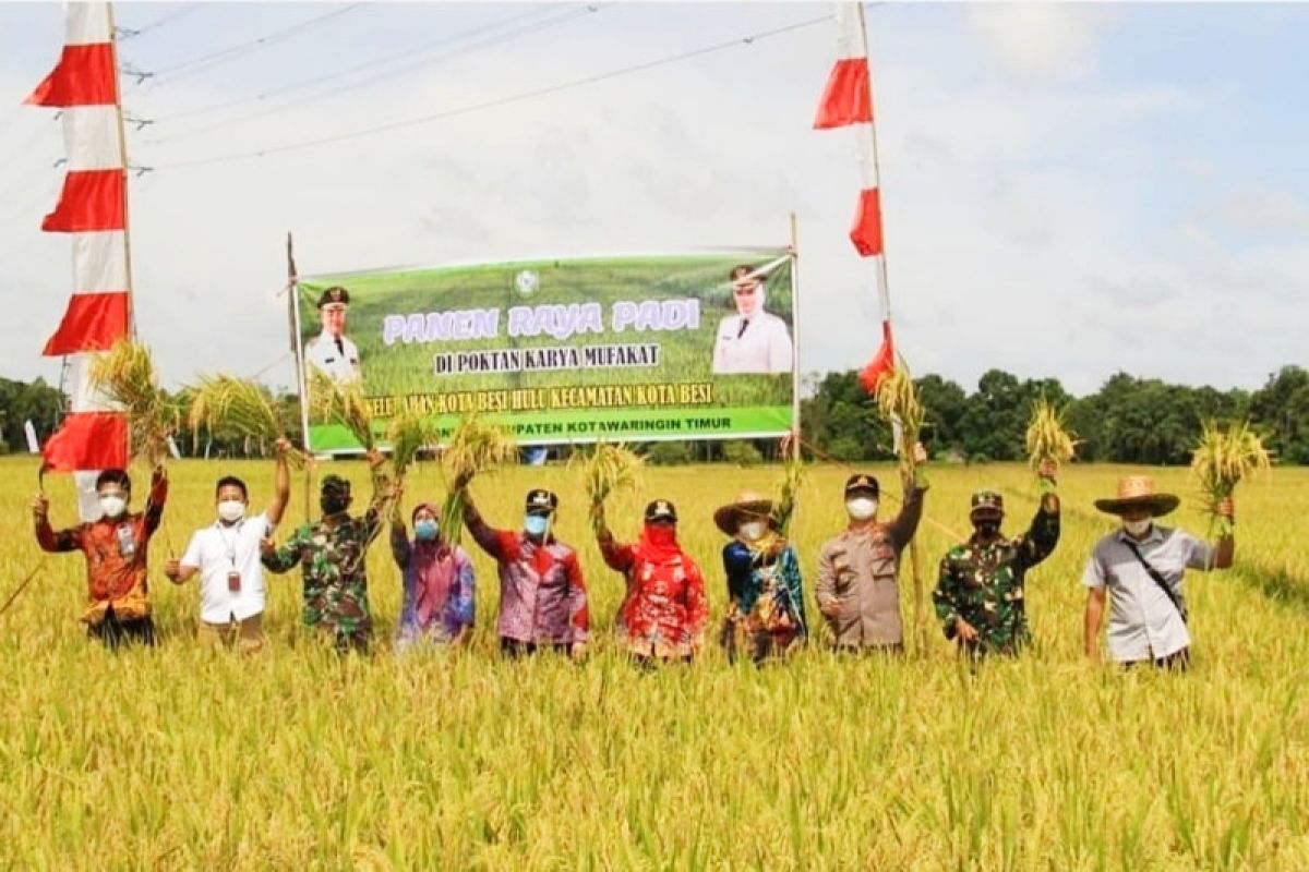 Pemkab Kotim wacanakan beli beras lokal saat harga rendah