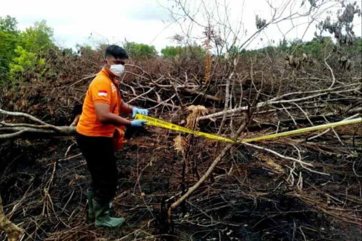 DPRD Palangka Raya: Penanganan karhutla perlu tindakan hukum tegas