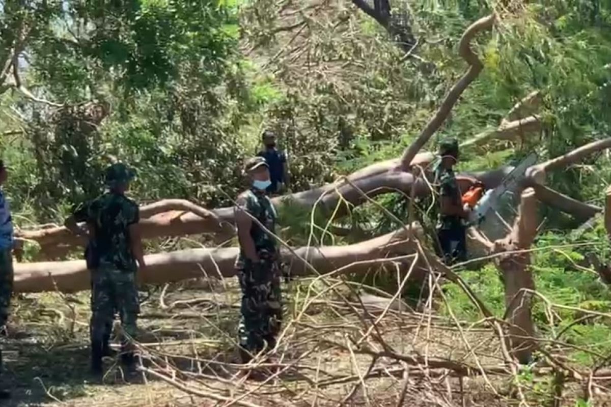 TNI-Polri bantu PLN  NTT pulihkan kelistrikan