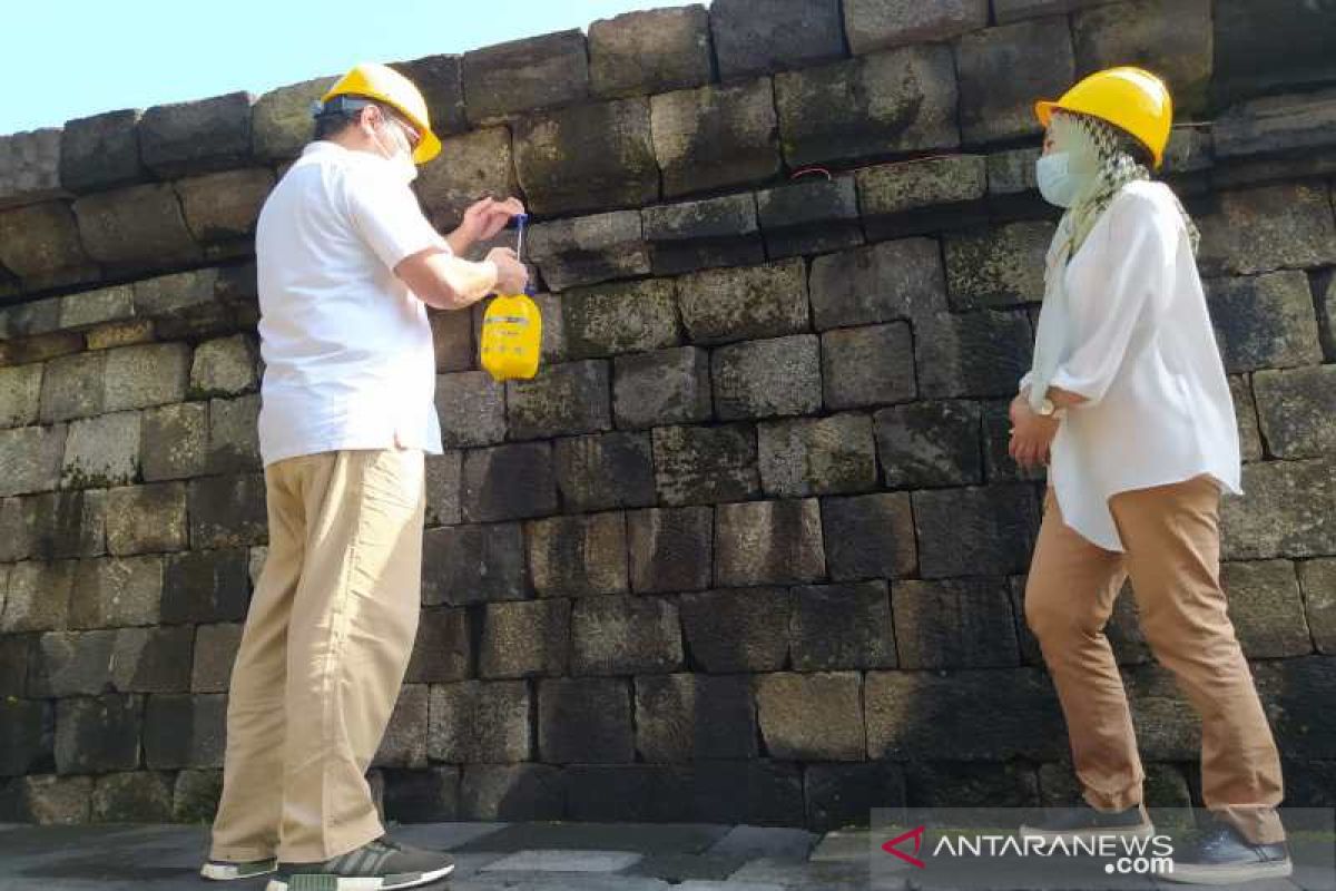 Minyak atsiri resmi sebagai bahan konservasi batuan Candi Borobudur